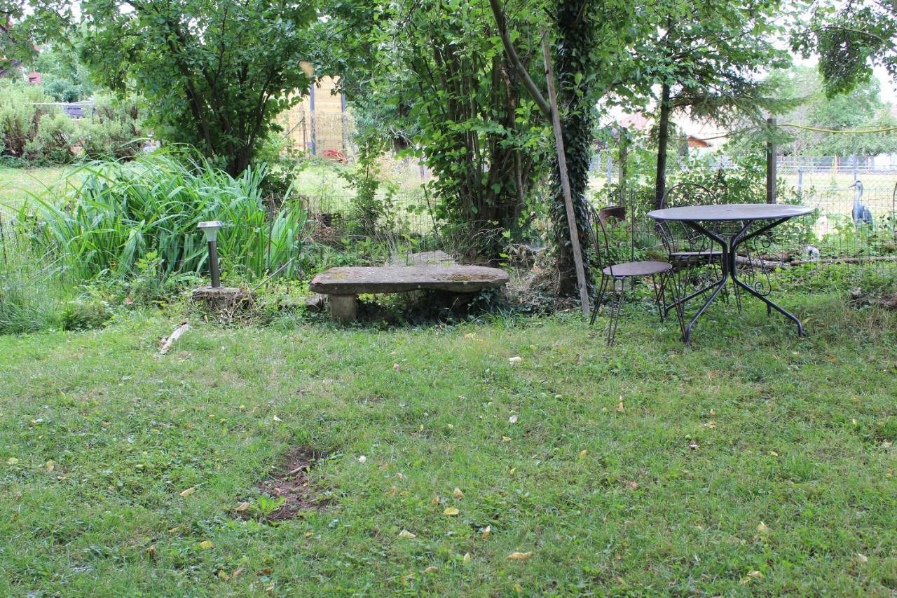 Gites Riviere Et Colline Niedermodern Εξωτερικό φωτογραφία